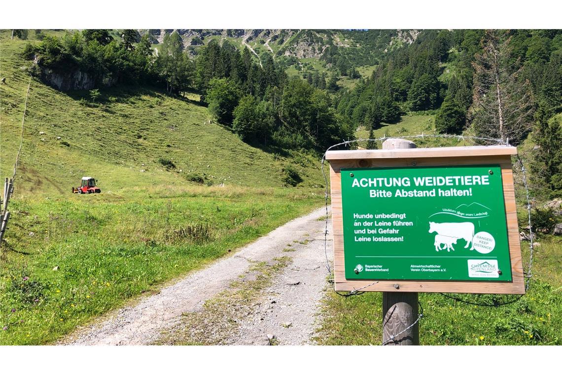 Beim Betreten von Weidegebiet ist Vorsicht geboten. (Symbolbild)