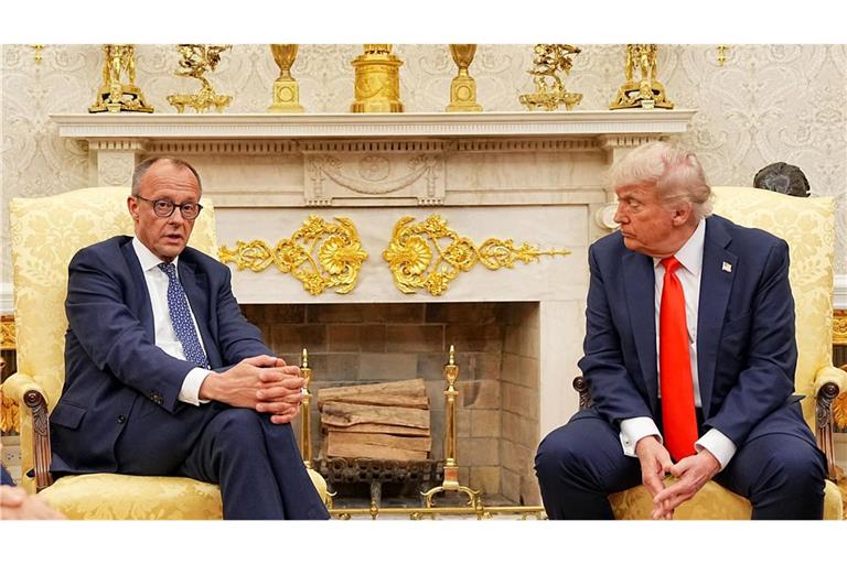 Beim letzten Aufeinandertreffen im Oval Office haben sich Trump und Merz ziemlich gut verstanden.