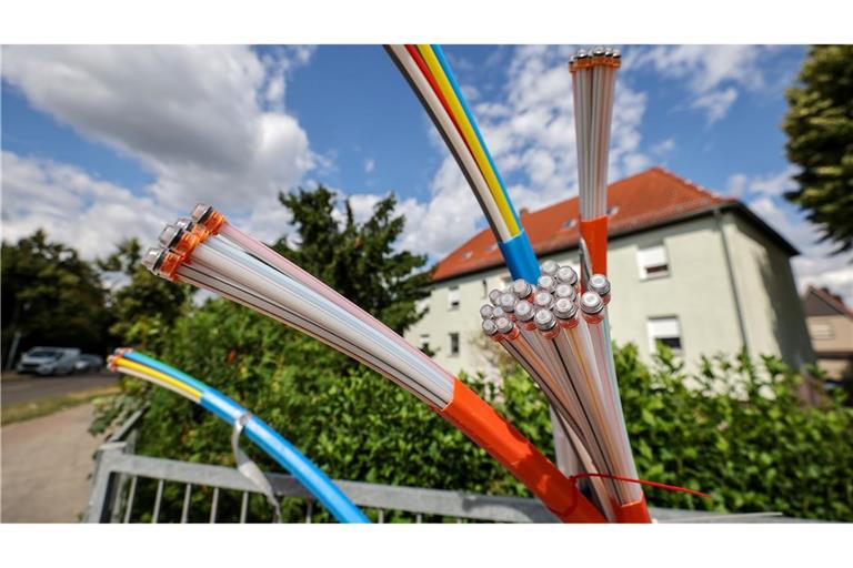 Beim Netzausbau soll es nach dem Willen der Bundesregierung schneller gehen.
