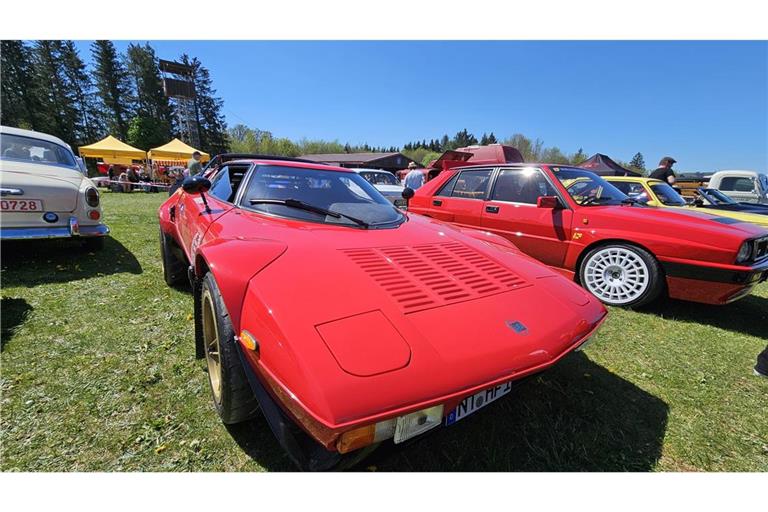 Beim Oldtimertreffen in Münsingen gab es etliche Autos zu bestaunen.