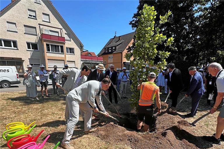 Beim Pflanzen helfen alle Städtevertreter mit. Foto: Stadtverwaltung Murrhardt