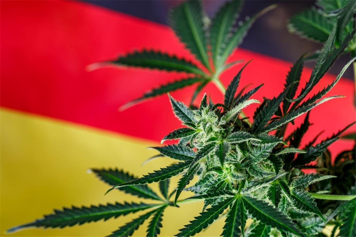 Welche Parteien wollen Cannabis verbieten? Beim Thema Cannabis gehen die Meinungen auseinander.