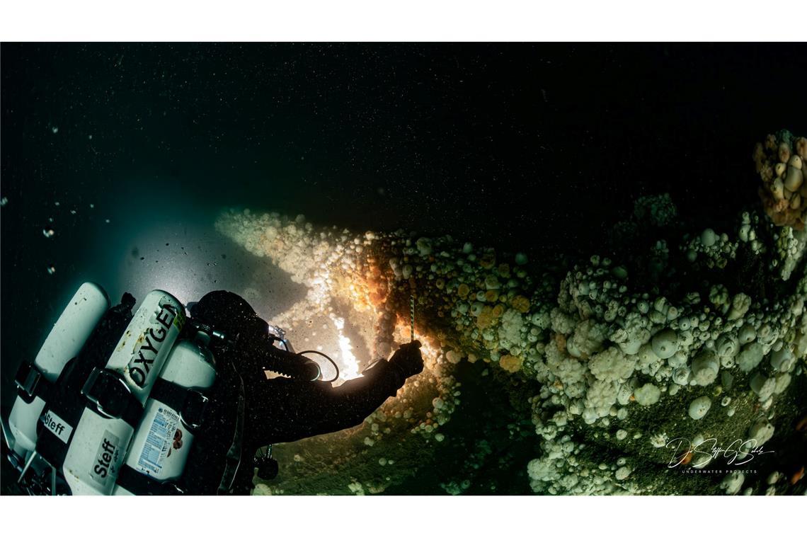 Beim Untergang am 11. März 1915 kamen fast 200 Seeleute ums Leben.