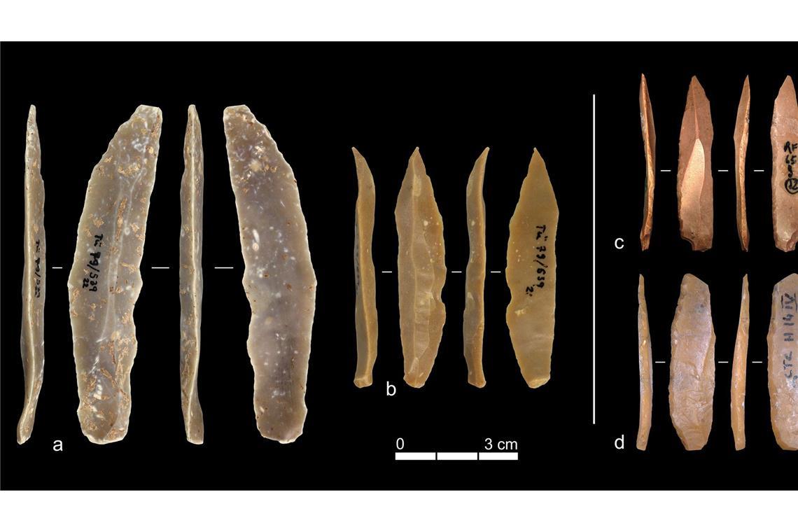 Beispiele für Steinartefakte aus dem Ahmarien von Ksar Akil (a & b) und dem Protoaurignacien von Grotta di Fumane (c) sowie Grotta di Castelcivita (d).  