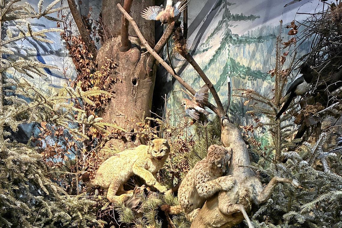 Bekannt ist es für seine Schaudioramen.