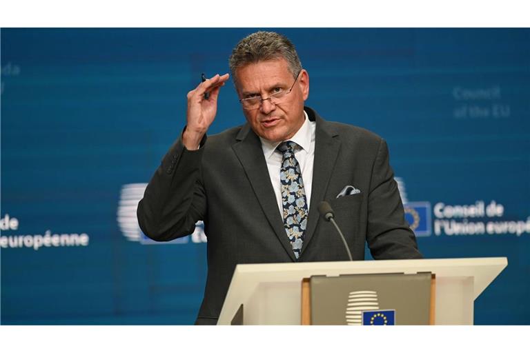Bekommt wegen Chinas Kurs besorgte Anrufe aus der Autoindustrie: EU-Handelskommissar Maros Sefcovic. (Archivbild)