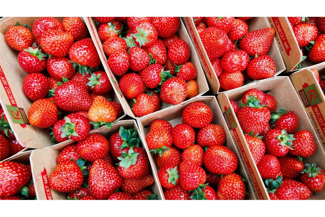 Erdbeeren und Spargel aus Deutschland bald zu teuer?