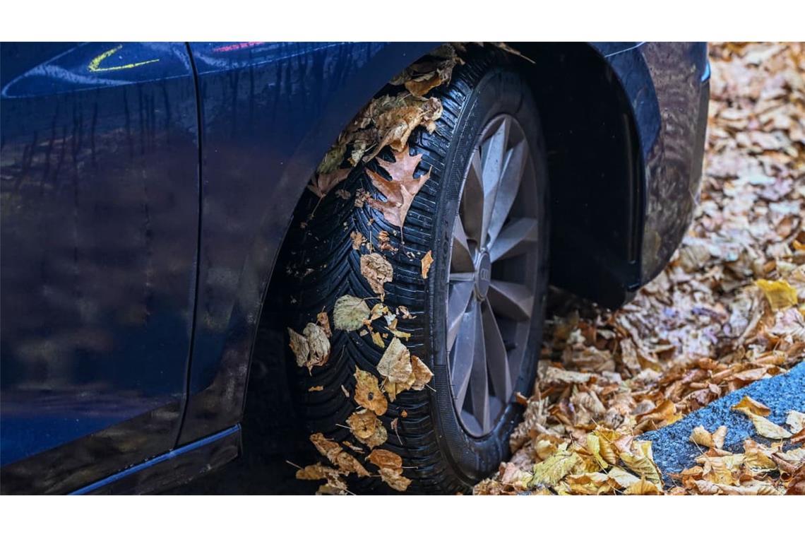 Bequemer Kompromiss? Ein Auto mit Ganzjahresreifen im Herbstlaub.