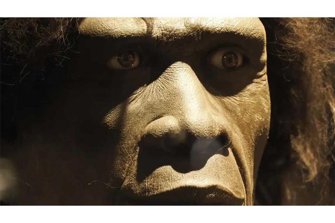 Bereits vor 1,5 Millionen Jahren machten sich Gruppen des Homo erectus auf und verließen Afrika.