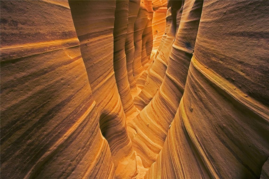 Bereits vor über 3000 Jahren lebten Menschen im Bereich des Grand Canyon. Die Desert Culture genannten Indianer waren Jäger und Sammler, die Körbe und Sandalen herstellen konnten und mit Speerspitzen aus Stein auf die Jagd gingen. 
Vor etwa 2000 Jahren besiedelten die als Anasazi bekannten Völker das Gebiet.