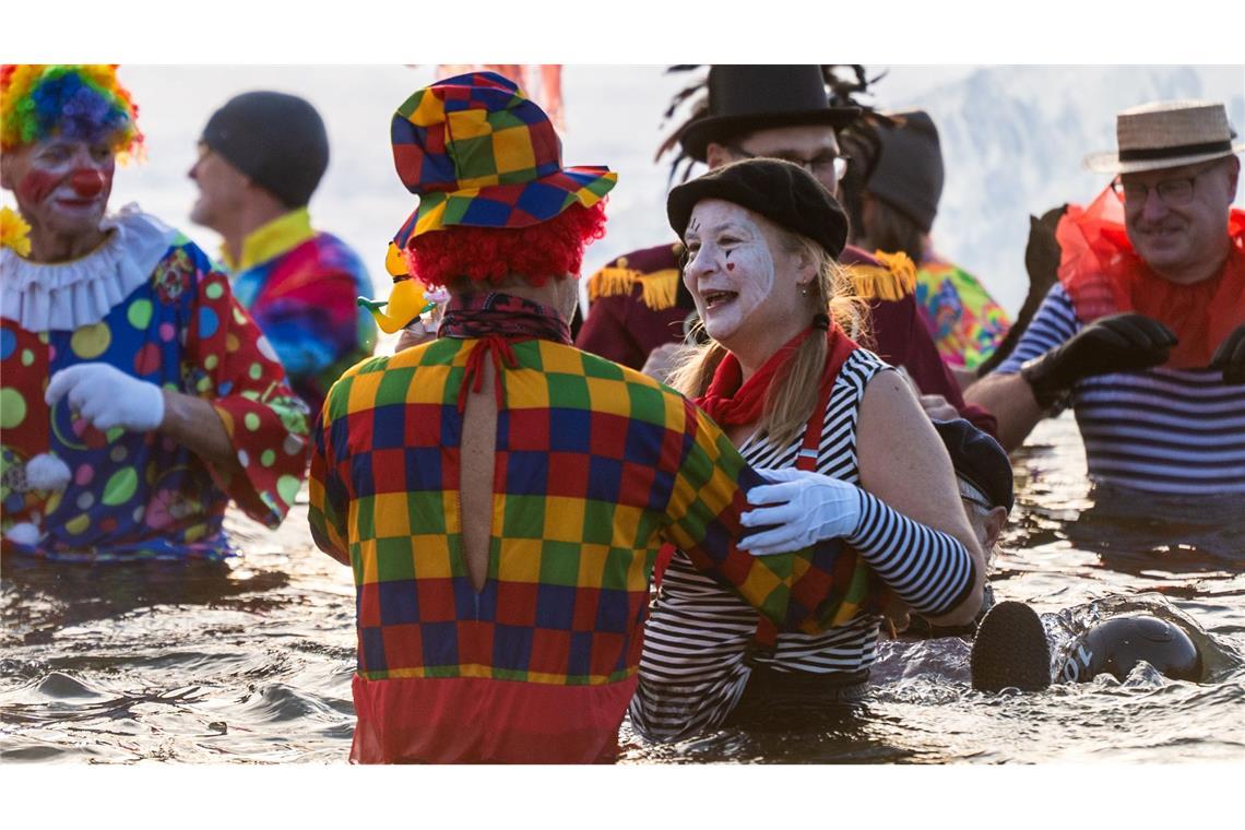 Berliner Seehunde gehen baden.