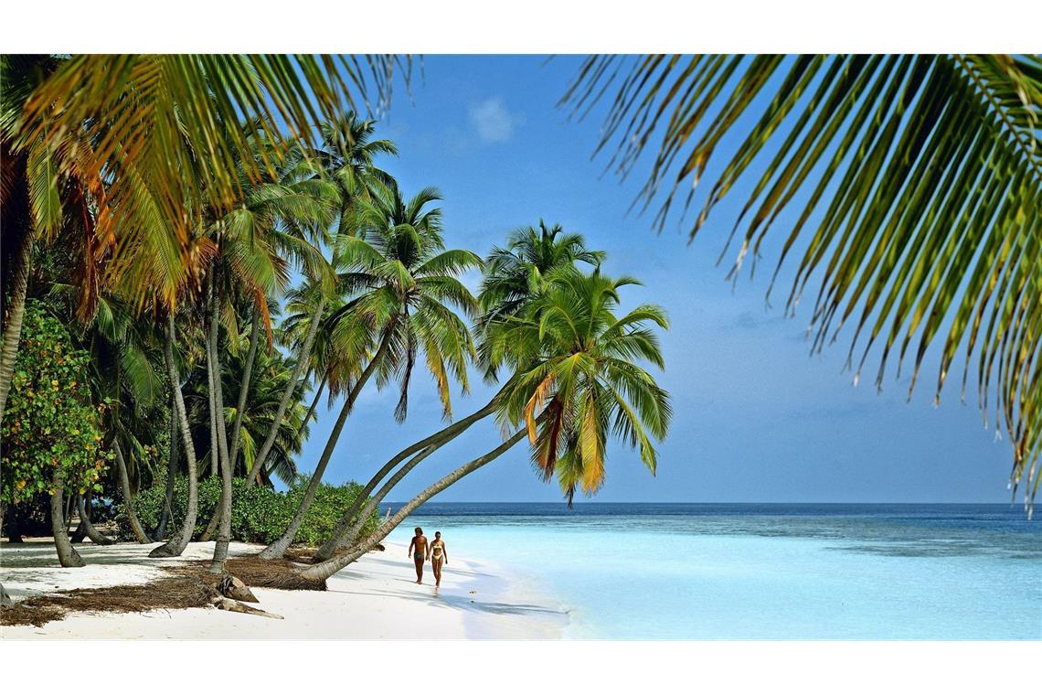Sieben Tipps für Reisen im Januar Besonders in der kalten Jahreszeit wächst bei vielen die Sehnsucht nach Sonne, Meer und Palmen.