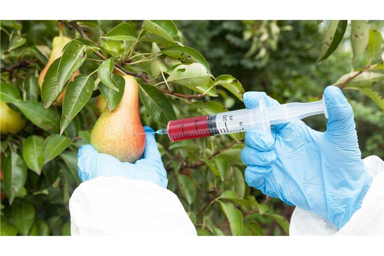 Bestimmte gentechnisch veränderte Lebensmittel sollen zukünftig auch ohne spezielle Prüfung und ohne Kennzeichnung den Weg auf den Markt finden.