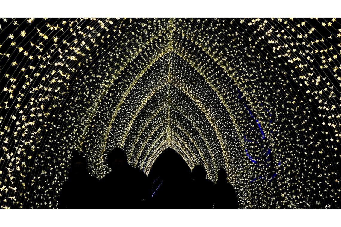 Bilder des Tages Besucher betreten die "Winter Cathedral" in der Lightscape-Ausstellung in Glencoe, Illinois.