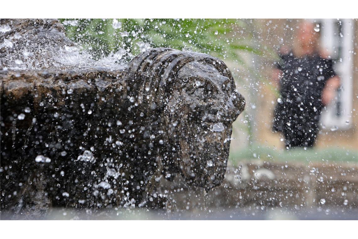 Bilder des Tages Besucher genießen bei sommerlichen Temperaturen Abkühlung an einem Brunnen im Barockgarten am Kleinen Schloss in Blankenburg.
