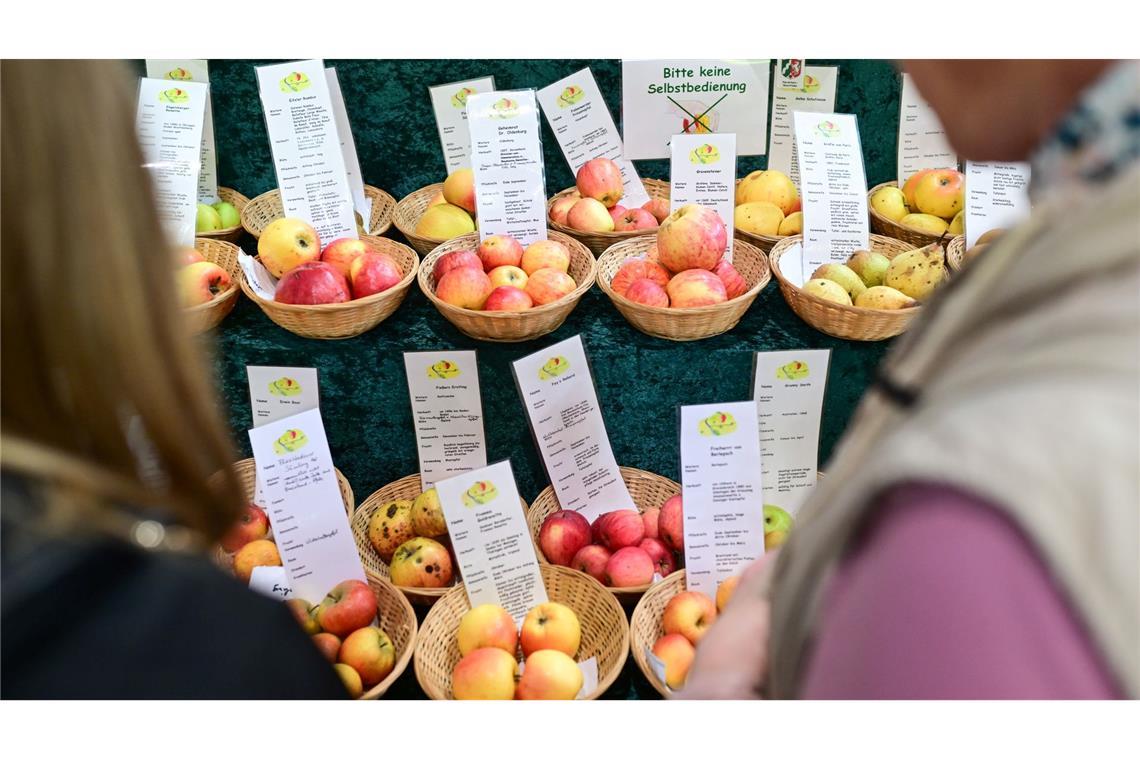Besucher können sich über Lebensmittel informieren.