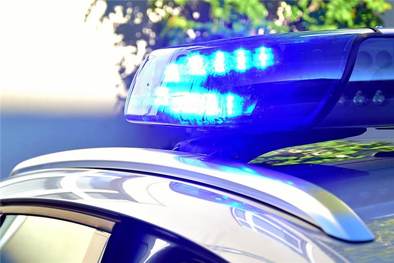 Betrunkener Pedelec-Fahrer steckt in Hecke fest.Symbolfoto Tobias Sellmaier