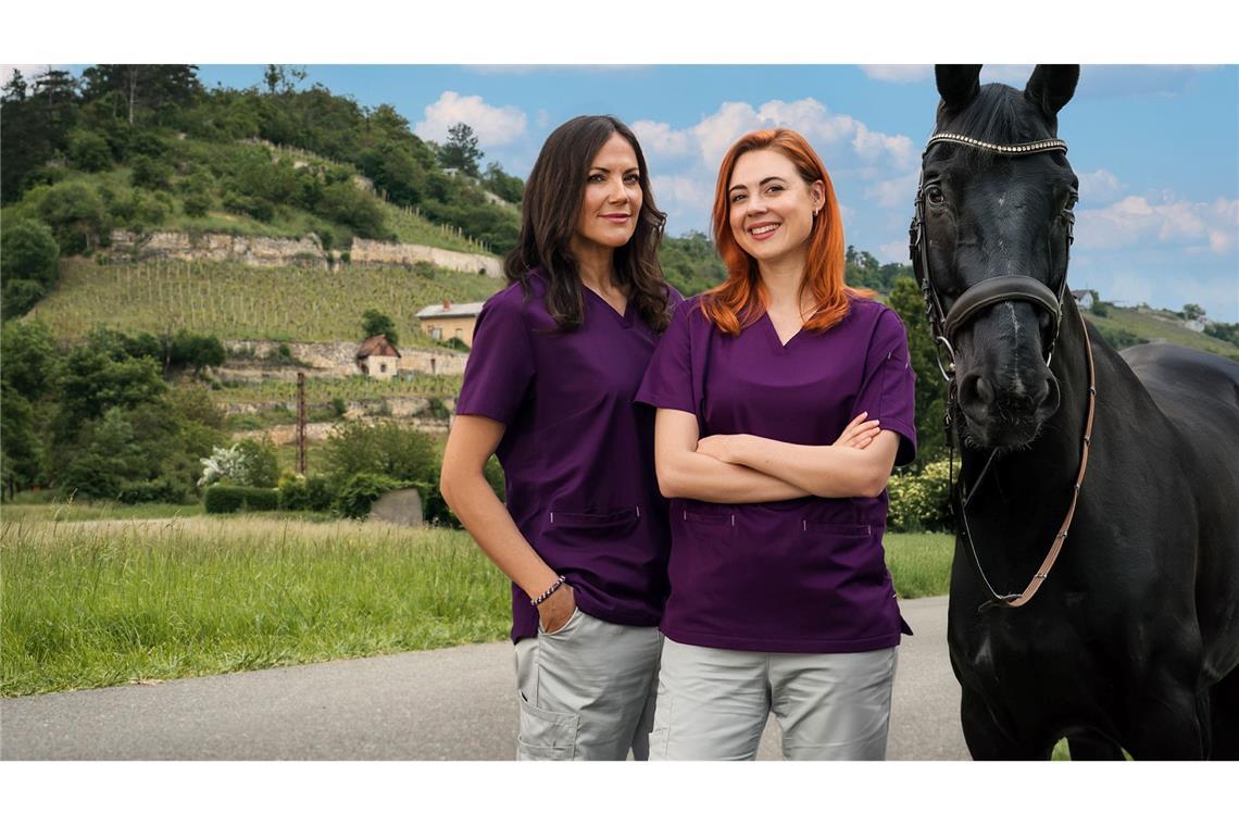 Bettina Zimmermann (links) als Dr. med. vet. Maja Freydank und Meriel Hinsching als Julia Kramer mit dem verletzten Turnierpferd Icarus in einer Szene der Episode "Pferdeliebe" aus der Serie "Zwei Frauen für alle Felle", die am 6. März linear im Ersten läuft und in der ARD-Mediathek steht.