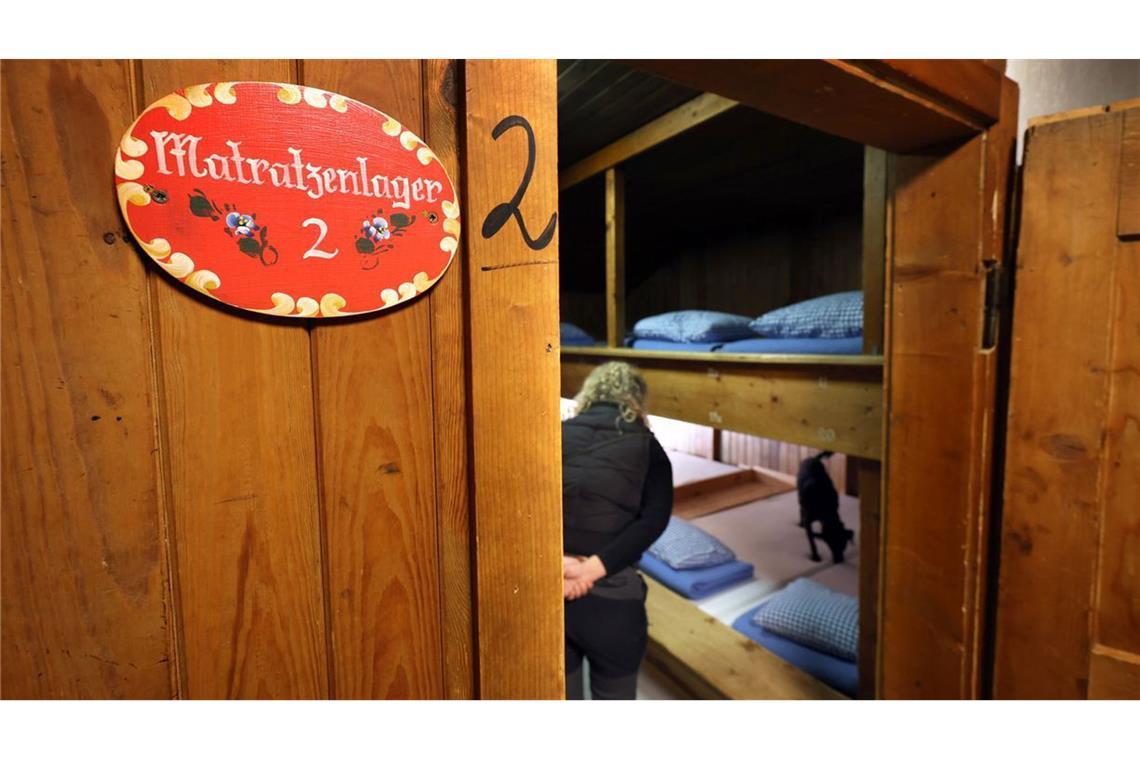 Bettwanzen-Spürhund Linus schnüffelt im Beisein seiner Hundeführerin Laura Pannasch in einem Schlafraum des 1670 Meter hoch gelegenen Schneibsteinhauses nach Bettwanzen.