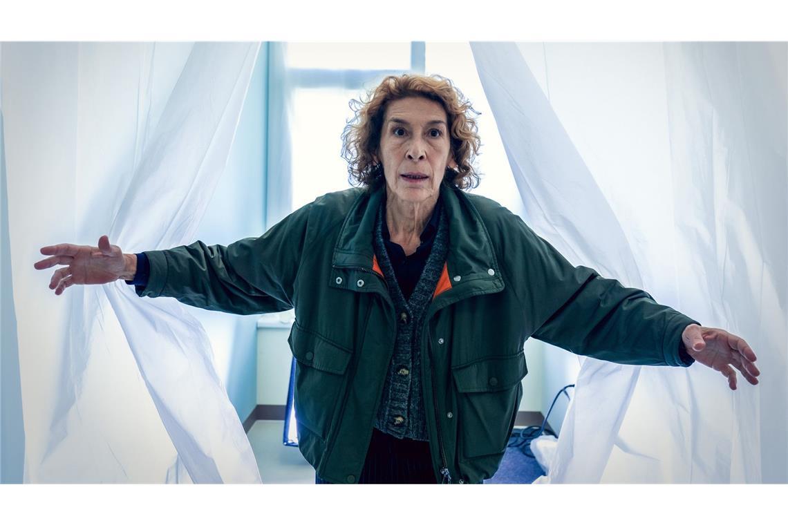 Bibi Fellner (Adele Neuhauser)