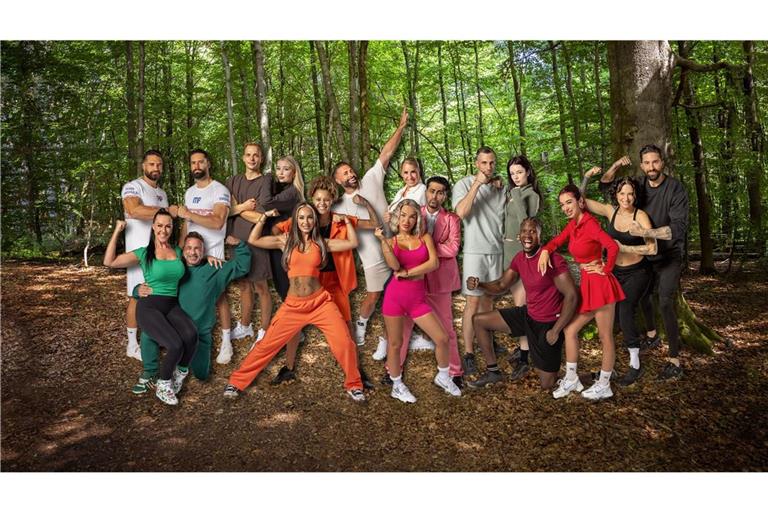 Wer ist raus nach Folge 18?