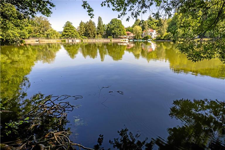 Waldsee Fornsbach punktet mit ausgezeichneter Wasserqualität