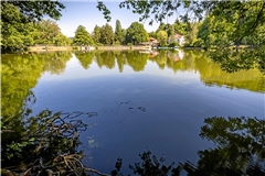Waldsee Fornsbach punktet mit ausgezeichneter Wasserqualität