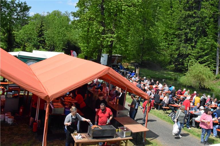 Beschwingte Blasmusikklänge beim Waldfest