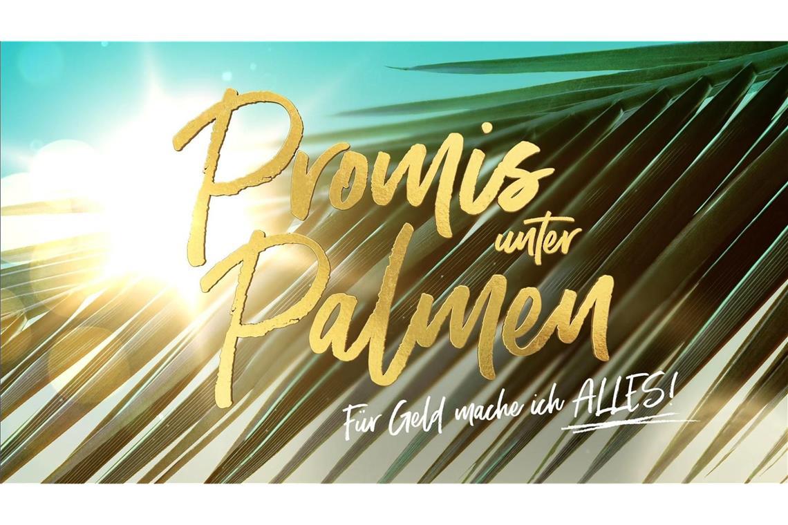 Wer ist raus in Folge 6? Wer ist raus in Folge 6?