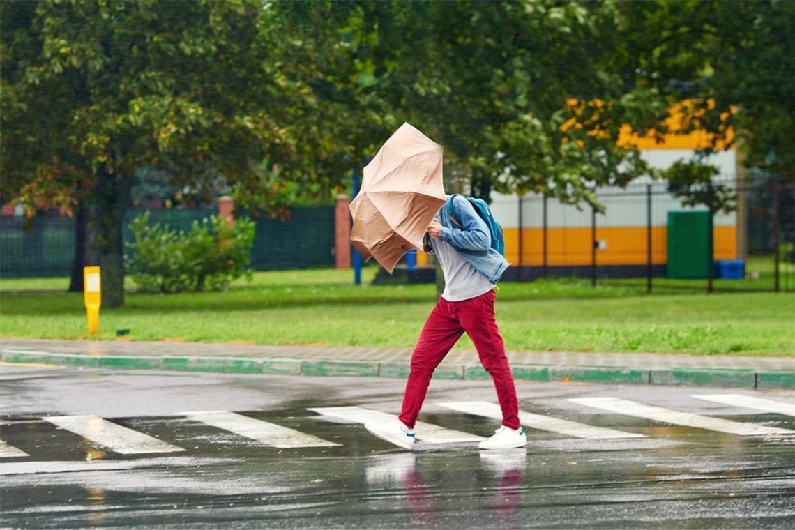 Gewitter mit Hagel und orkanartigen Böen erwartet Gewitter mit Hagel und orkanartigen Böen erwartet