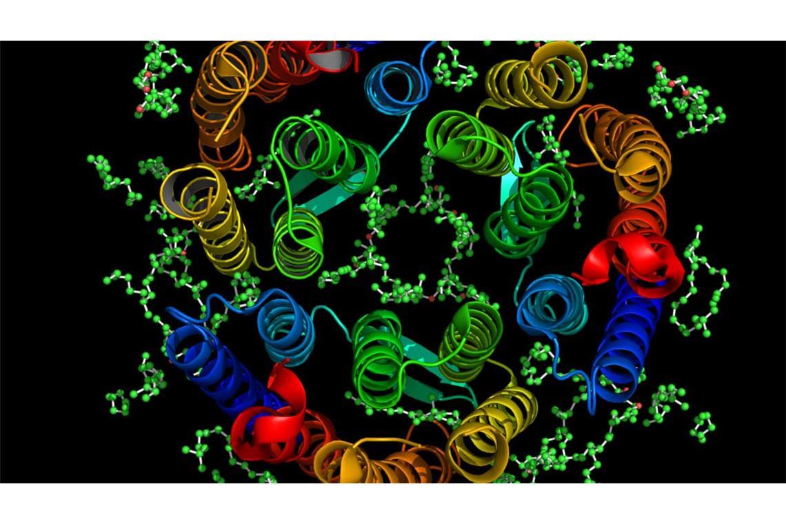 Biologischer Aufbau von Bacteriorhodopsin