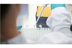 Biotech-Firmen in Deutschland haben 2025 weniger Geld eingesammelt. (Symbolbild)