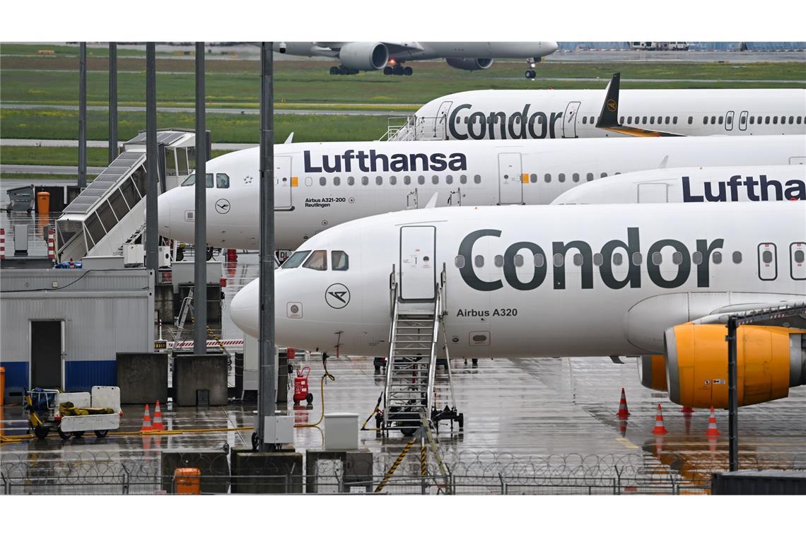Condor stutzt Nordamerika-Programm Bislang werden viele Condor-Passagiere von der Lufthansa nach Frankfurt geflogen.