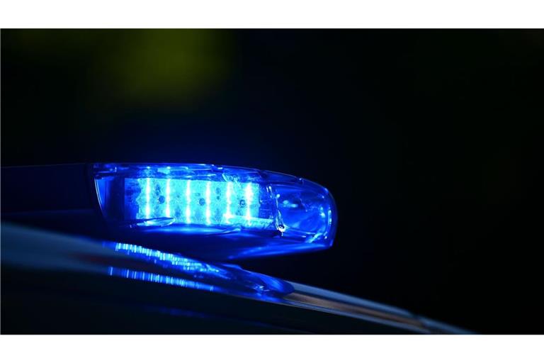 Blaulicht blinkt auf einem Auto der Polizei. (zu dpa: «Großeinsatz der Polizei in Berlin nach Gewaltstraftaten»)
