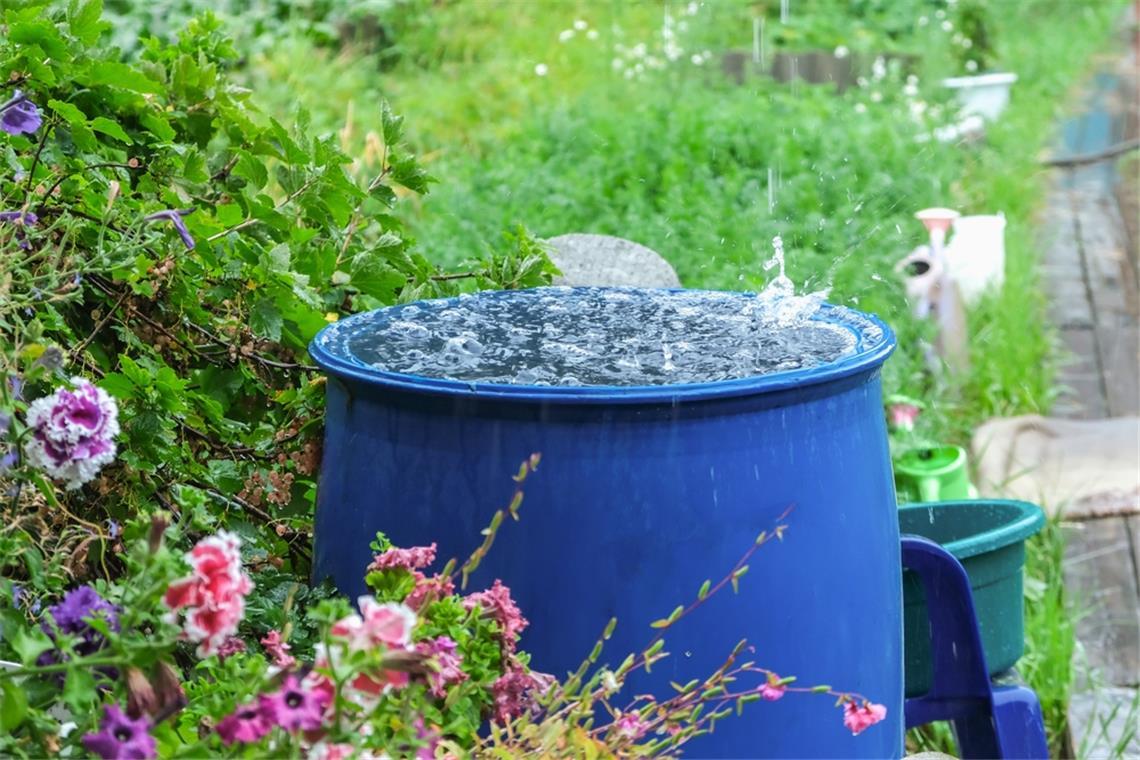 Wann regnet es endlich wieder? Bleibt es weiter trocken oder ist endlich Regen in Sicht? Hier erfahren Sie, wann es laut Deutschem Wetterdienst wieder regnet – für alle Regionen in Deutschland.