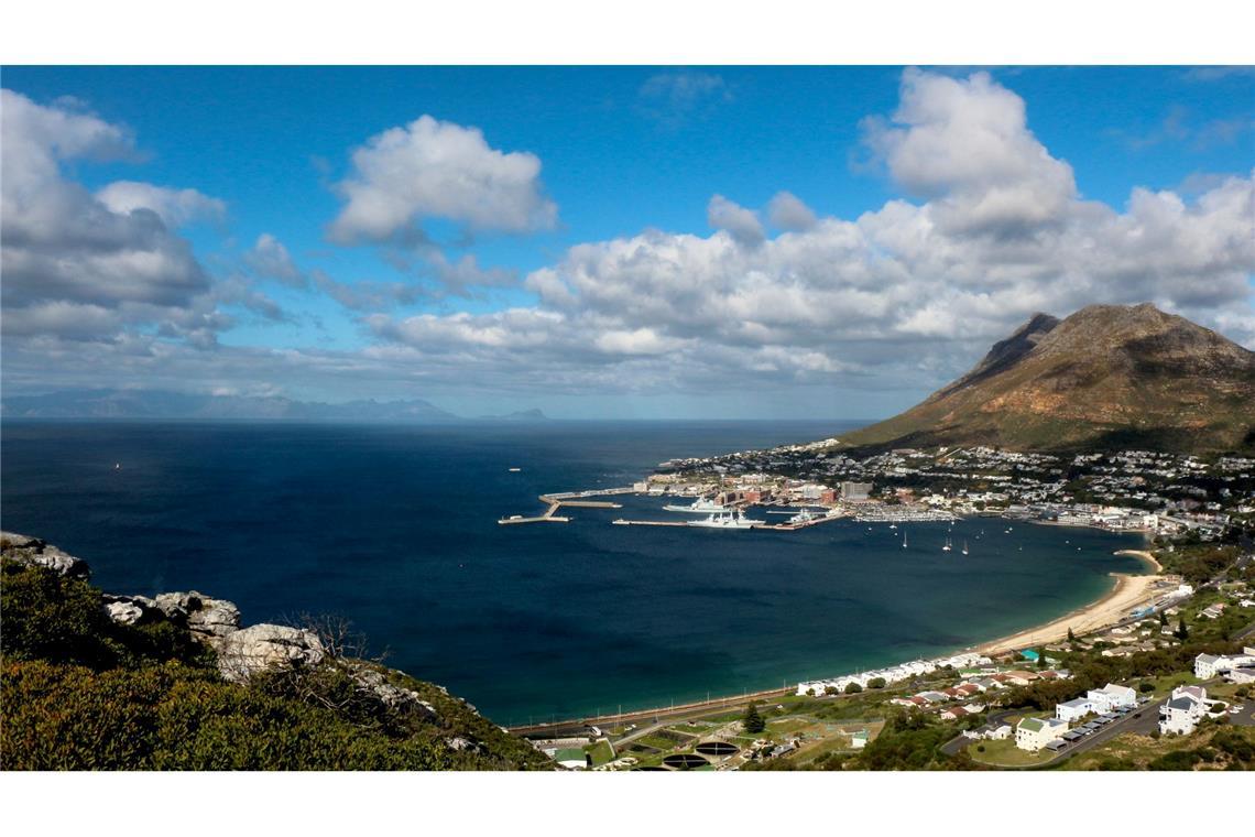 Studie: Verlust Weißer Haie schädigt Ökosystem des Meeres Blick auf die False Bay südlich von Kapstadt (Archivbild)