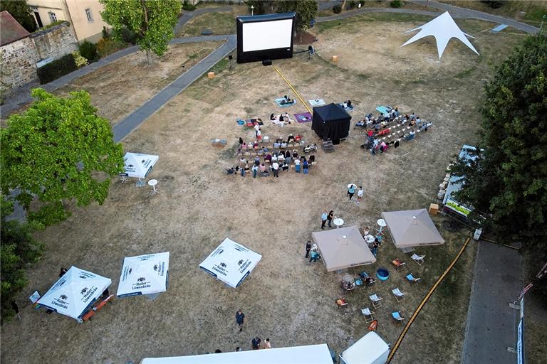 Blick auf die Kinolandschaft im etwas ausgedörrten Stadtgarten. Foto: privat