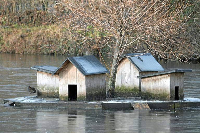 Blick auf eine der schwimmenden Wohnhaussiedlungen für die Enten am Murrhardter Feuersee. Integriert sind auch Sträucher, damit die Tiere bei strahlenderem Wetter etwas Schatten haben. Foto: A. Scholz