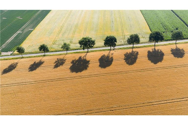 Blick auf trockene Felder im niedersächsischen Landkreis Peine.
