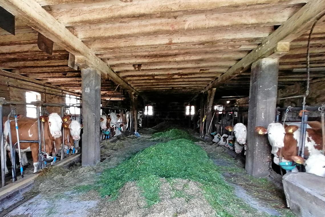 Ländliche Idylle ohne Zukunft Blick in den Stall von Brigitte Küblers Hof in Waltersberg. Zum Anwesen gehören 20 Hektar Grünland. Foto: A. Kohr