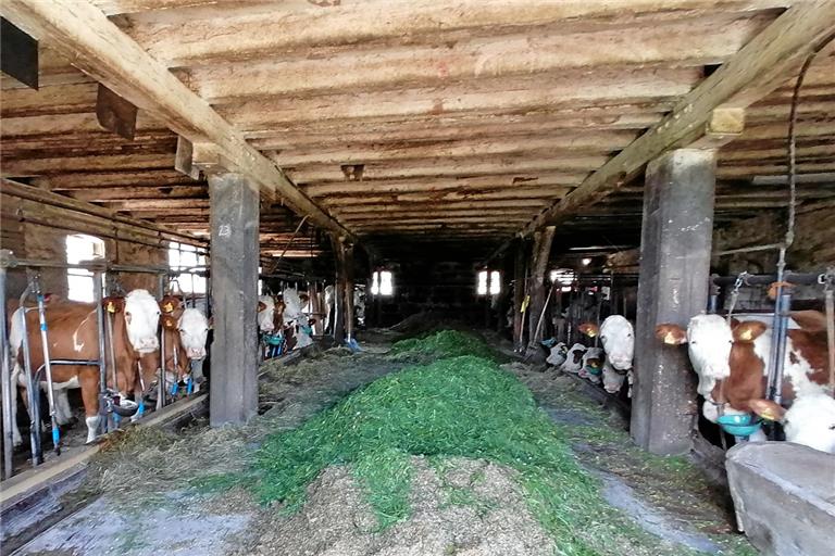 Blick in den Stall von Brigitte Küblers Hof in Waltersberg. Zum Anwesen gehören 20 Hektar Grünland. Foto: A. Kohr