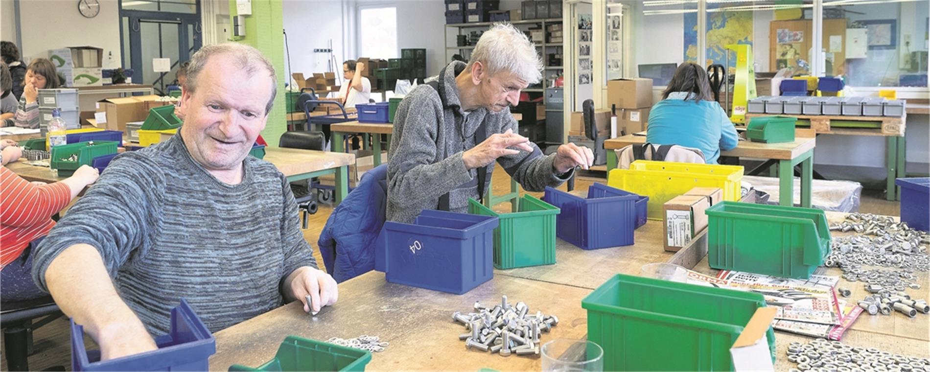 Blick in die Werkstatträume: Peter Bosch und Thomas Maurer (von links) an ihrem Montagearbeitsplatz. Insgesamt sind in der Murrhardter Einrichtung rund 100 Menschen beschäftigt. Fotos: J. Fiedler