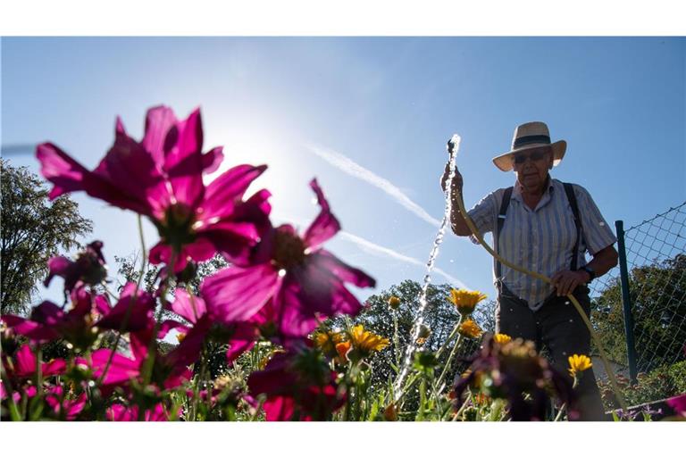 Blumengießen ist am Vatertag erlaubt.