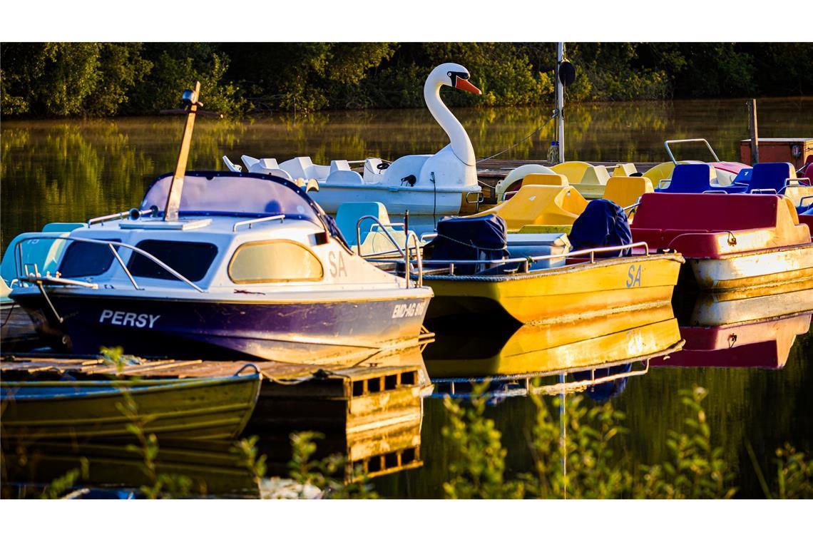 Bilder des Tages