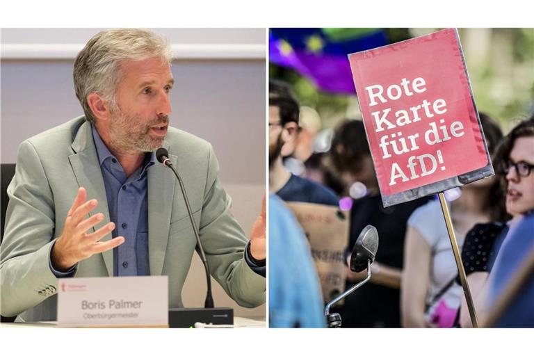 Boris Palmer hätte gerne auch zu den Demonstranten gesprochen. „Ich bin gegen die AfD.“