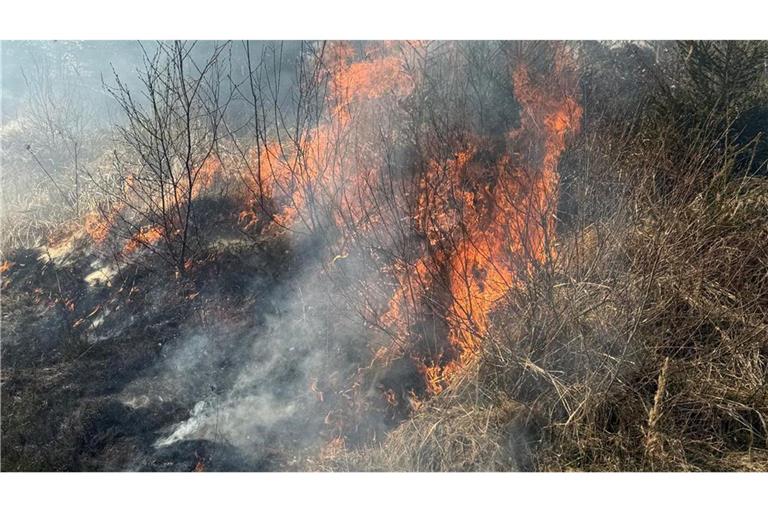 Brände in NRW: Einige Feuer wie hier in Sundern sind in schwer zugänglichen Waldgebieten ausgebrochen.