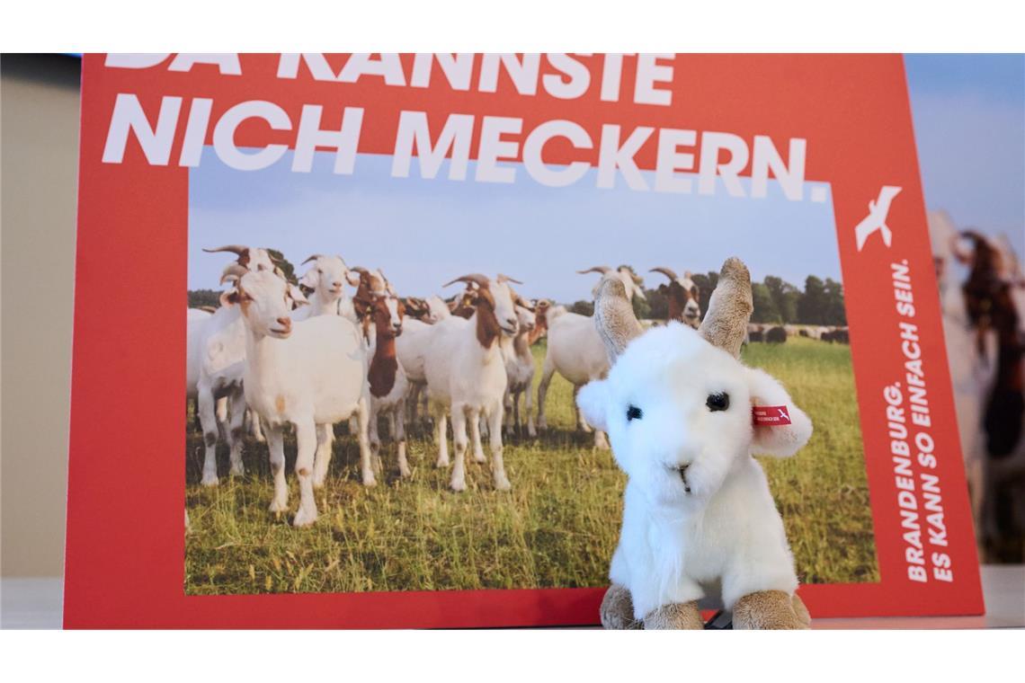 Brandenburg wirbt mit einer neuen Kampagne für Zuzüge aus Westdeutschland. (Archivbild)