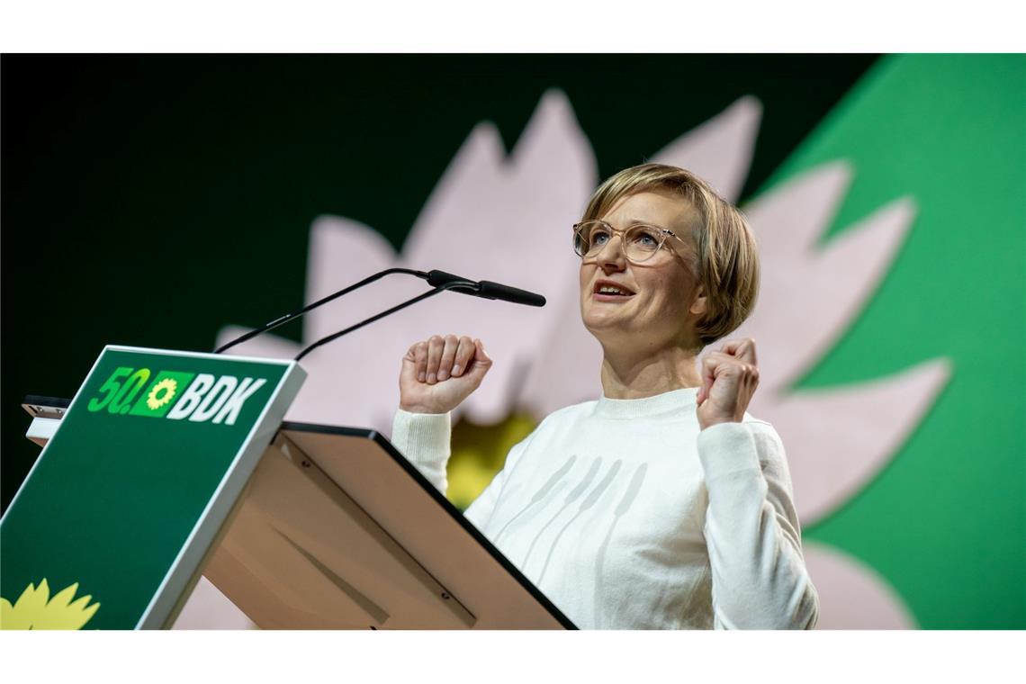 Brantner und Banaszak sind neue Grünen-Chefs Brantner machte Stimmung gegen Merz und Wagenknecht.