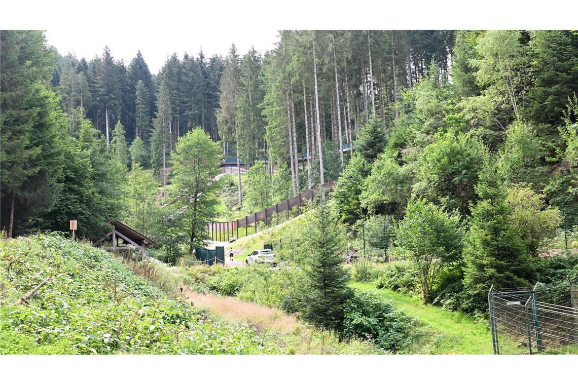 Brunos Schwester Gaia lebt nach ihrem tödlichen Angriff auf einen Jogger im Bärenpark Schwarzwald. (Archivbild)