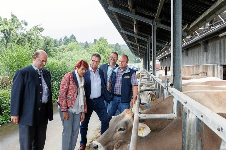 Bürgermeister Armin Mößner, CDU-Bundestagskandidatin Inge Gräßle, Landwirtschaftsminister Peter Hauk und Bauernverbandsvorsitzender Jürgen Maurer schauen sich im Milchviehbetrieb von Harald Wurst (von links) in Hinterwestermurr um. Foto: J. Fiedler